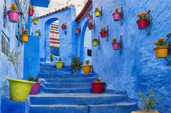 Blue staircase and wall decorated with colourful flowerpots, Chefchaouen medina in Morocco.