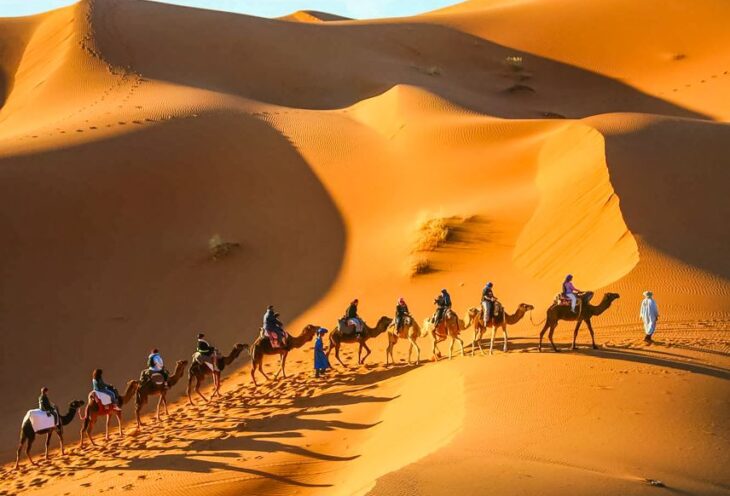 camel ride merzouga