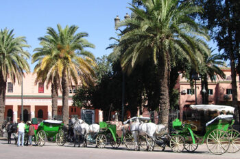 carriage -Marrakech